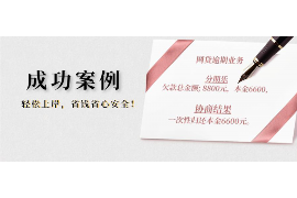 偃师为什么选择专业追讨公司来处理您的债务纠纷？