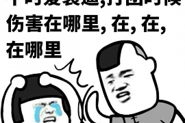 偃师专业催债公司的市场需求和前景分析