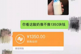 偃师偃师的要账公司在催收过程中的策略和技巧有哪些？